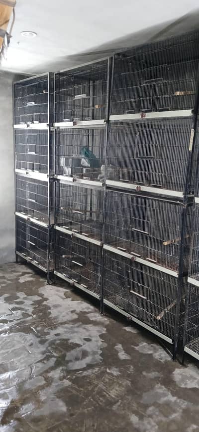 Birds Cage Full Angel
