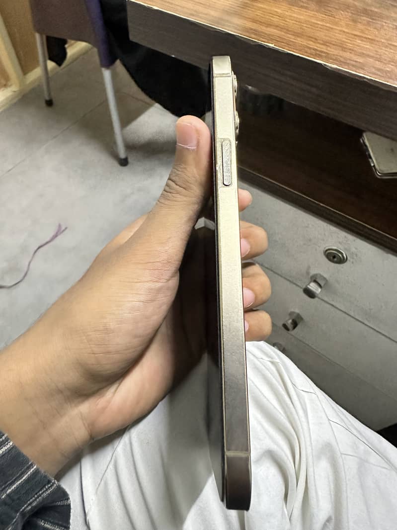 Apple iPhone 12 Pro Max 1