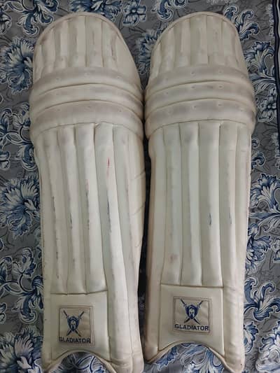 Batting Pads