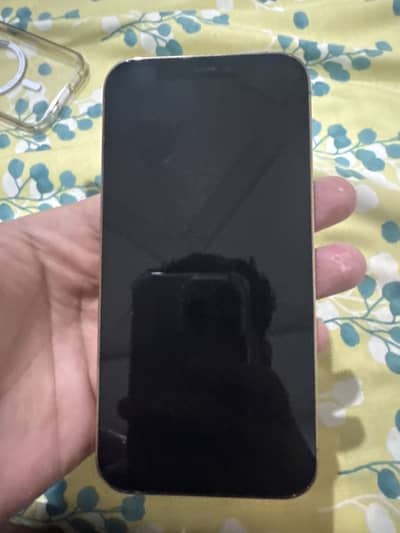 Apple iPhone 12 Pro