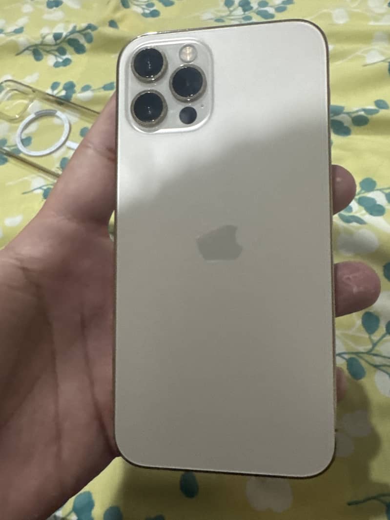 Apple iPhone 12 Pro 1