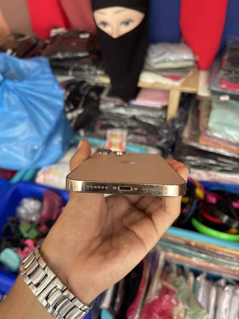 Apple iPhone 13 Pro Max 1