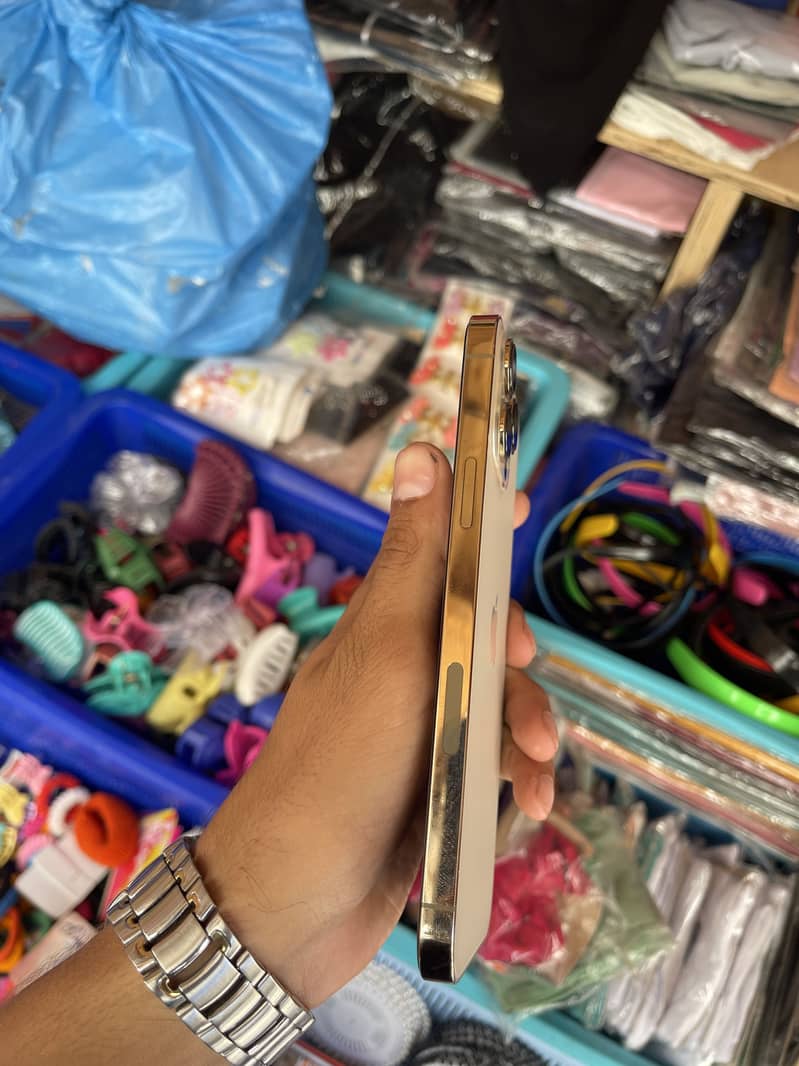 Apple iPhone 13 Pro Max 2