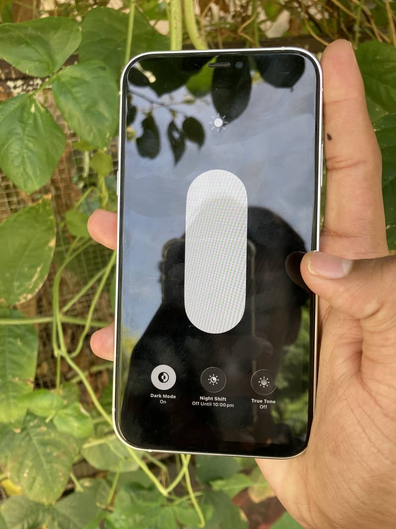 Apple iPhone 11 2