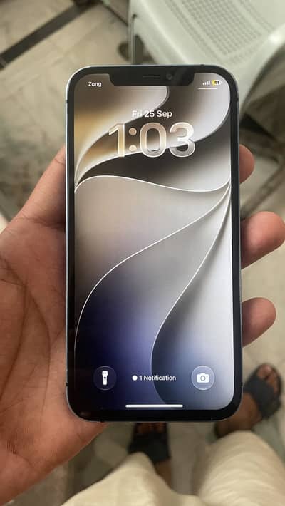 Apple iPhone 12 4 month sim time plus apple adopter and cable