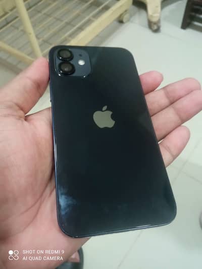 Apple iPhone 12