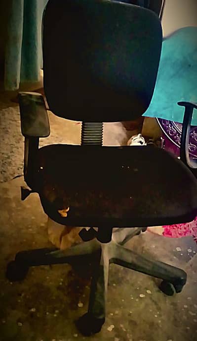 selling office chair urgently