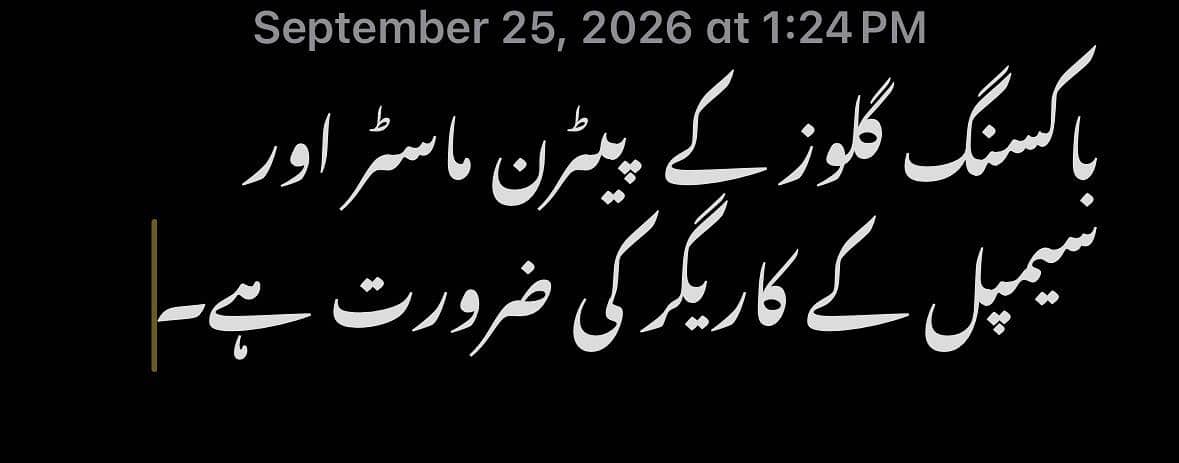 باکسنگ گلوز کے کاریگر اورپیٹرن ماسٹر کی ضرورت ہے 0