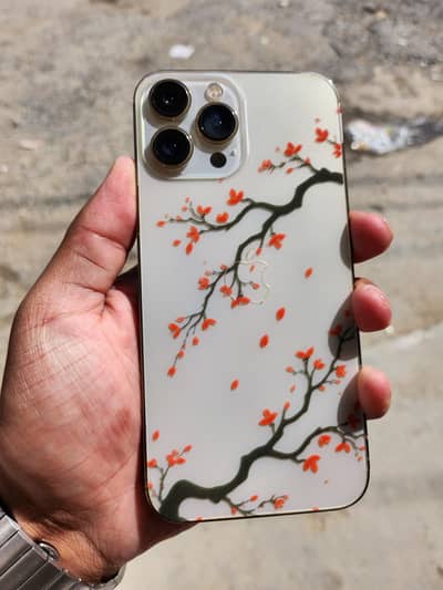 Apple iPhone 13 Pro Max