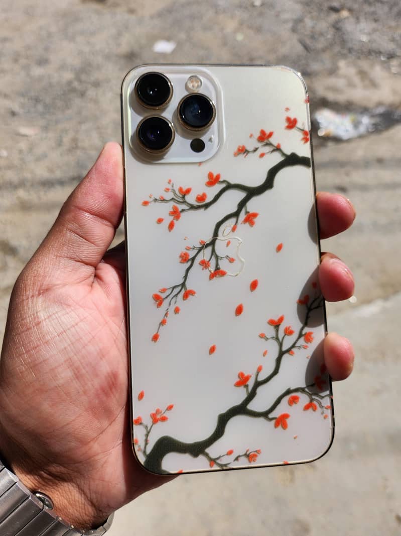 Apple iPhone 13 Pro Max 0