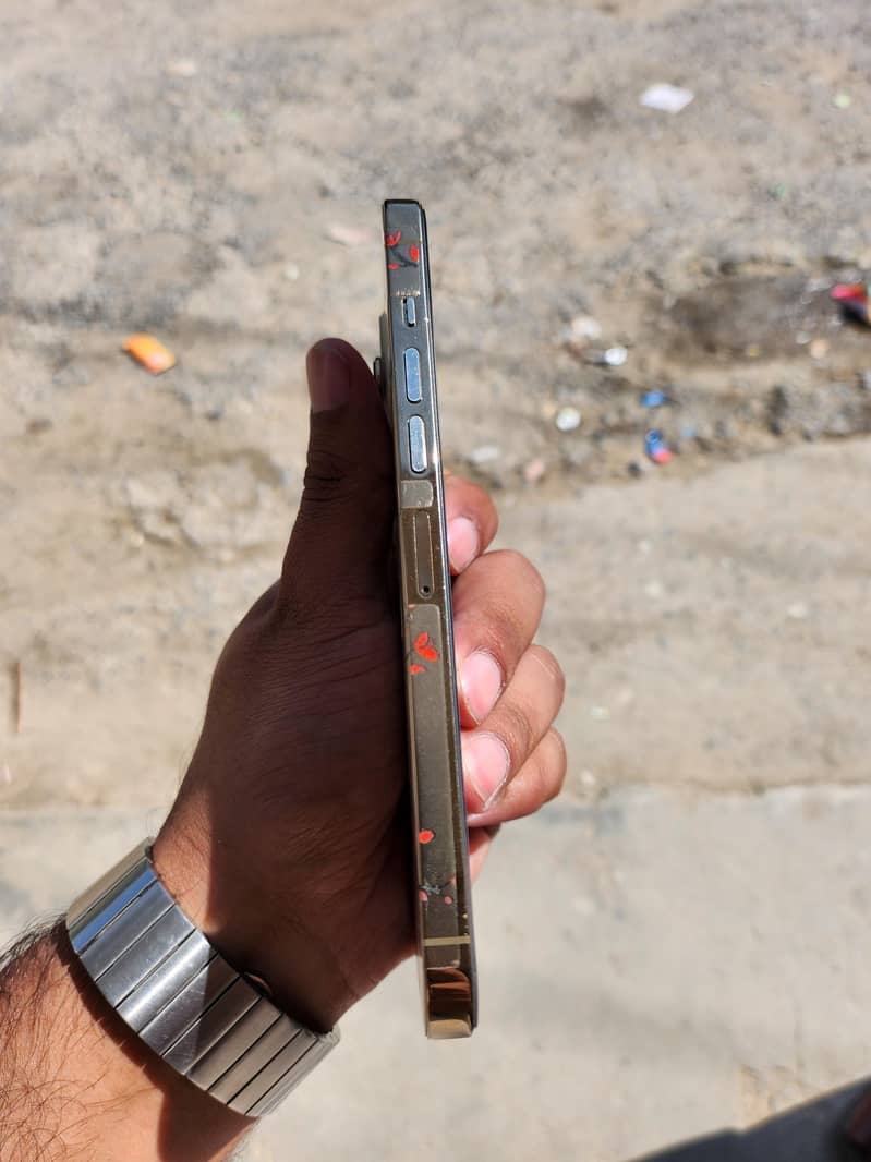 Apple iPhone 13 Pro Max 2
