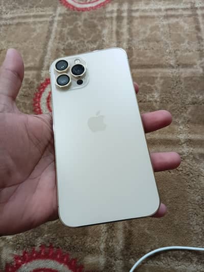 Apple iPhone 12 Pro Max