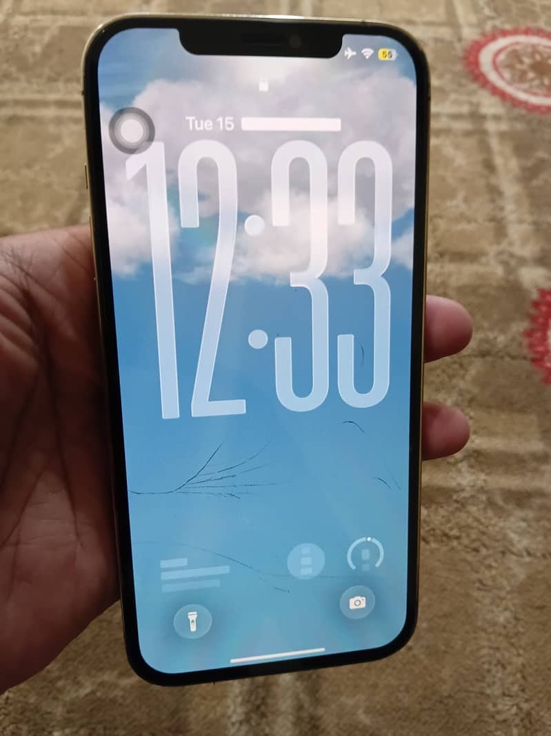 Apple iPhone 12 Pro Max 1