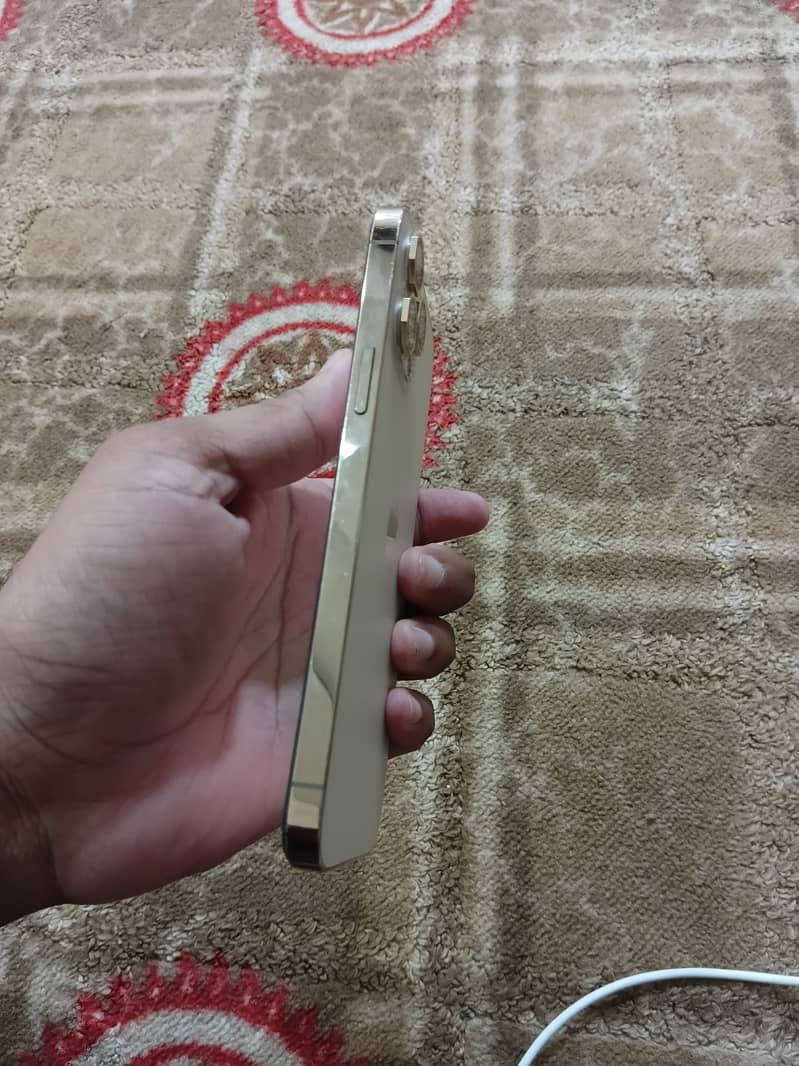 Apple iPhone 12 Pro Max 2