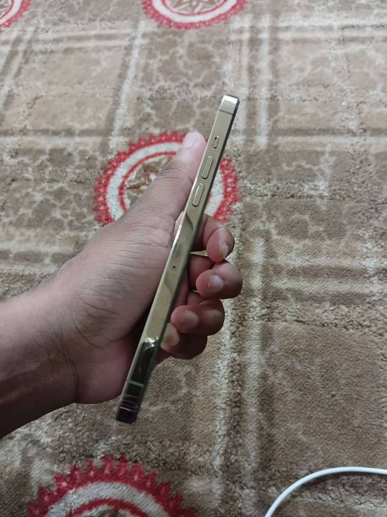 Apple iPhone 12 Pro Max 3