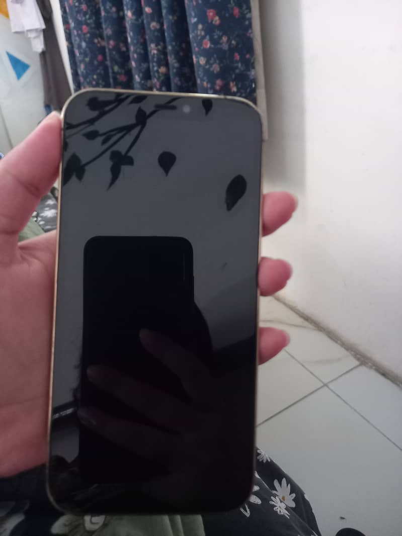 Apple iPhone 12 pro 1