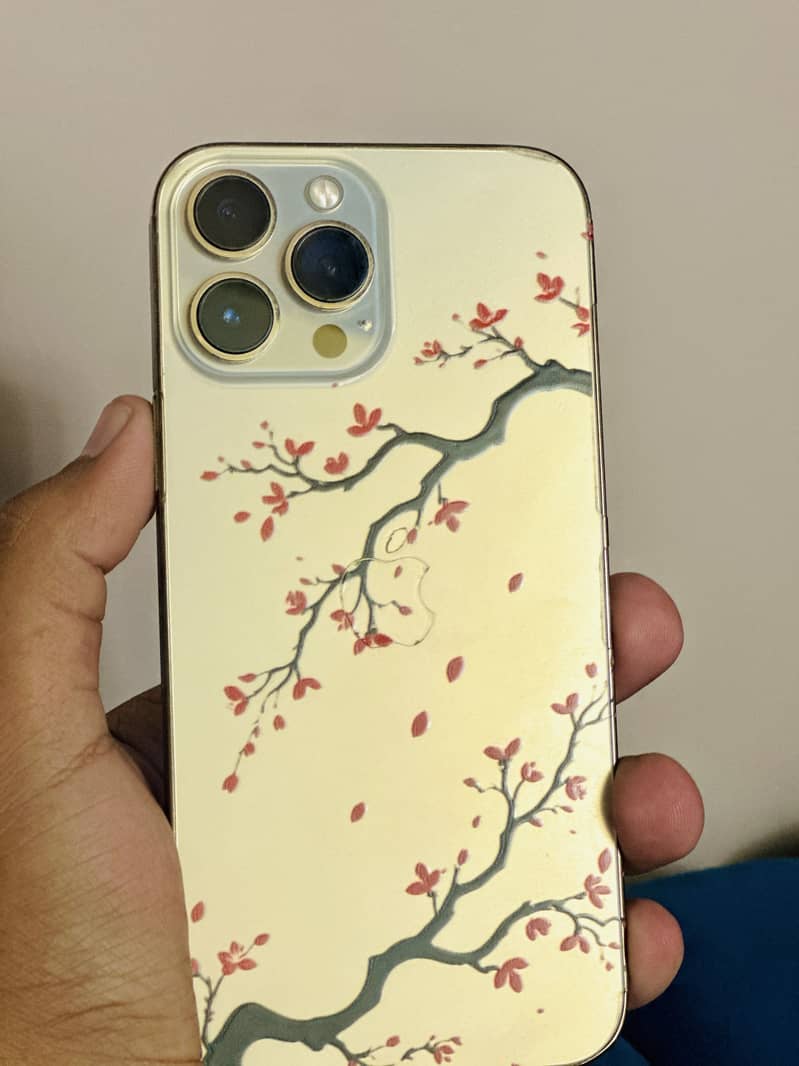 Apple iPhone 13 Pro Max 4