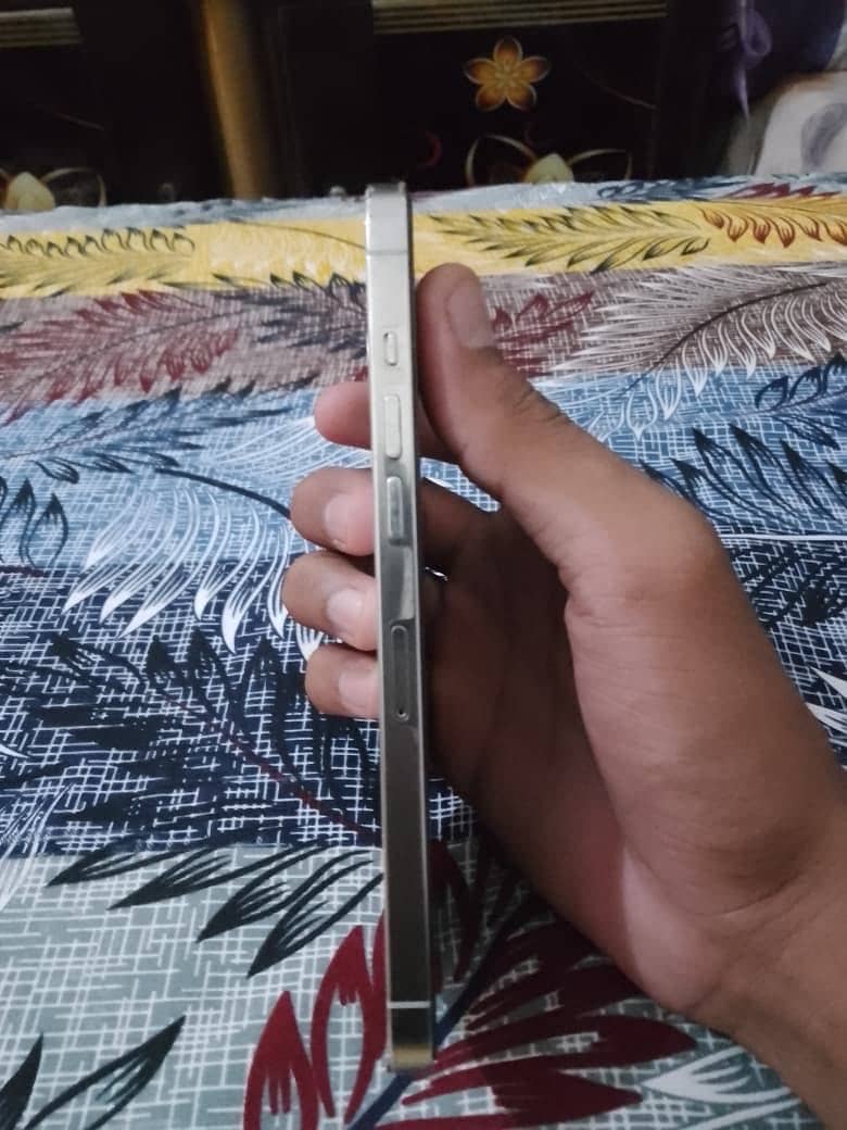 Apple iPhone 12 Pro Max 4
