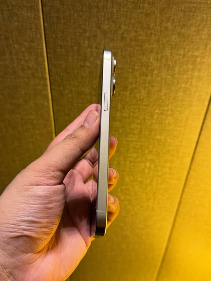 Apple iPhone 15 Pro Max 1