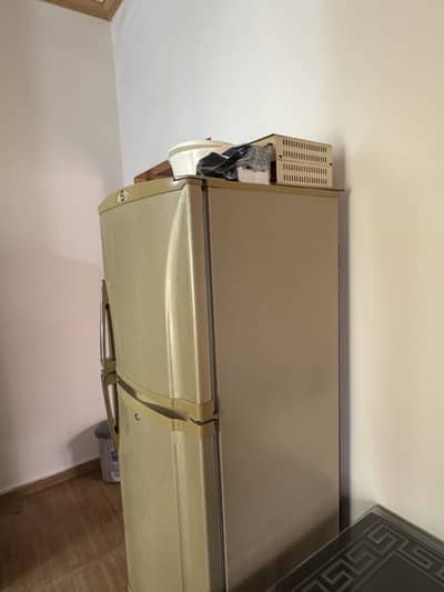 PEL Refrigerator