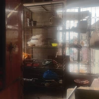 cages for bird