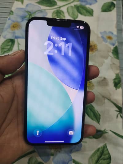 Apple iPhone 13 Pro