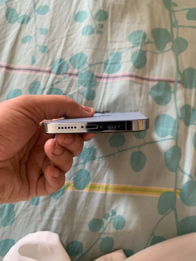 Apple iPhone 13 Pro Max 1