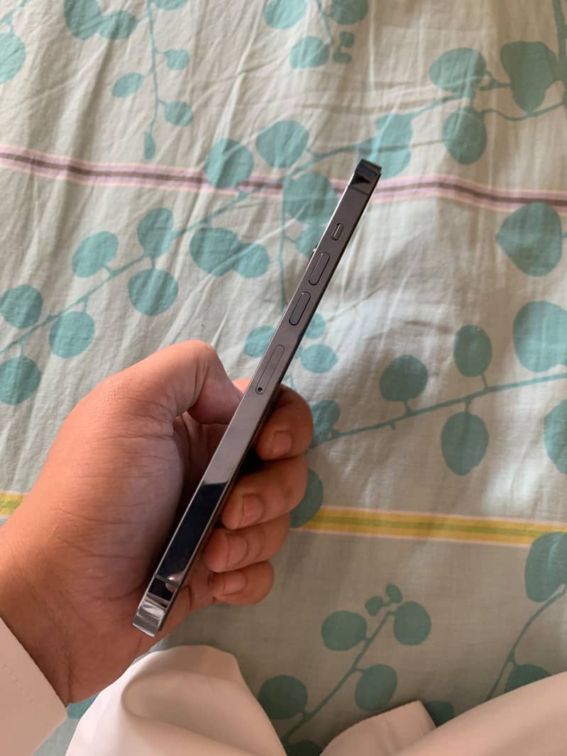 Apple iPhone 13 Pro Max 4