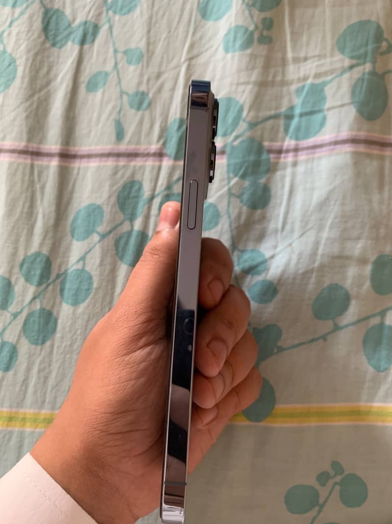 Apple iPhone 13 Pro Max 6