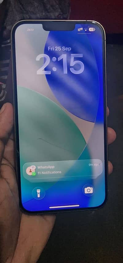Apple iPhone 13 Pro Max