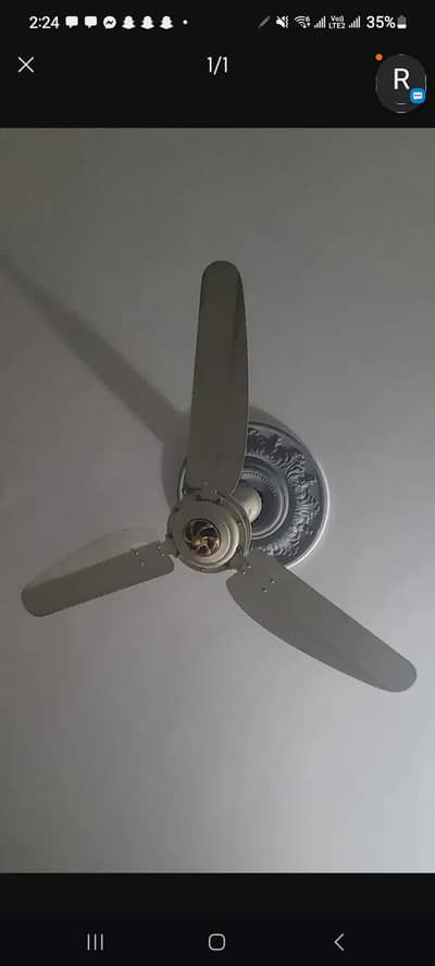 Royal Fan