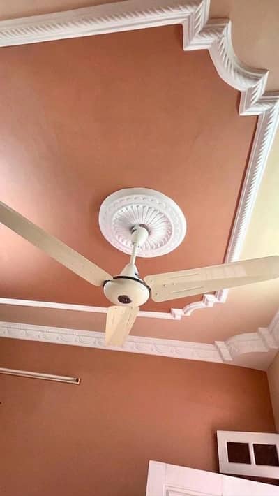 Selling 4 fans of Pak company