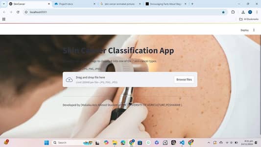 Skin Cancer Detection AI Project FYP - CNN + Vision Transformer