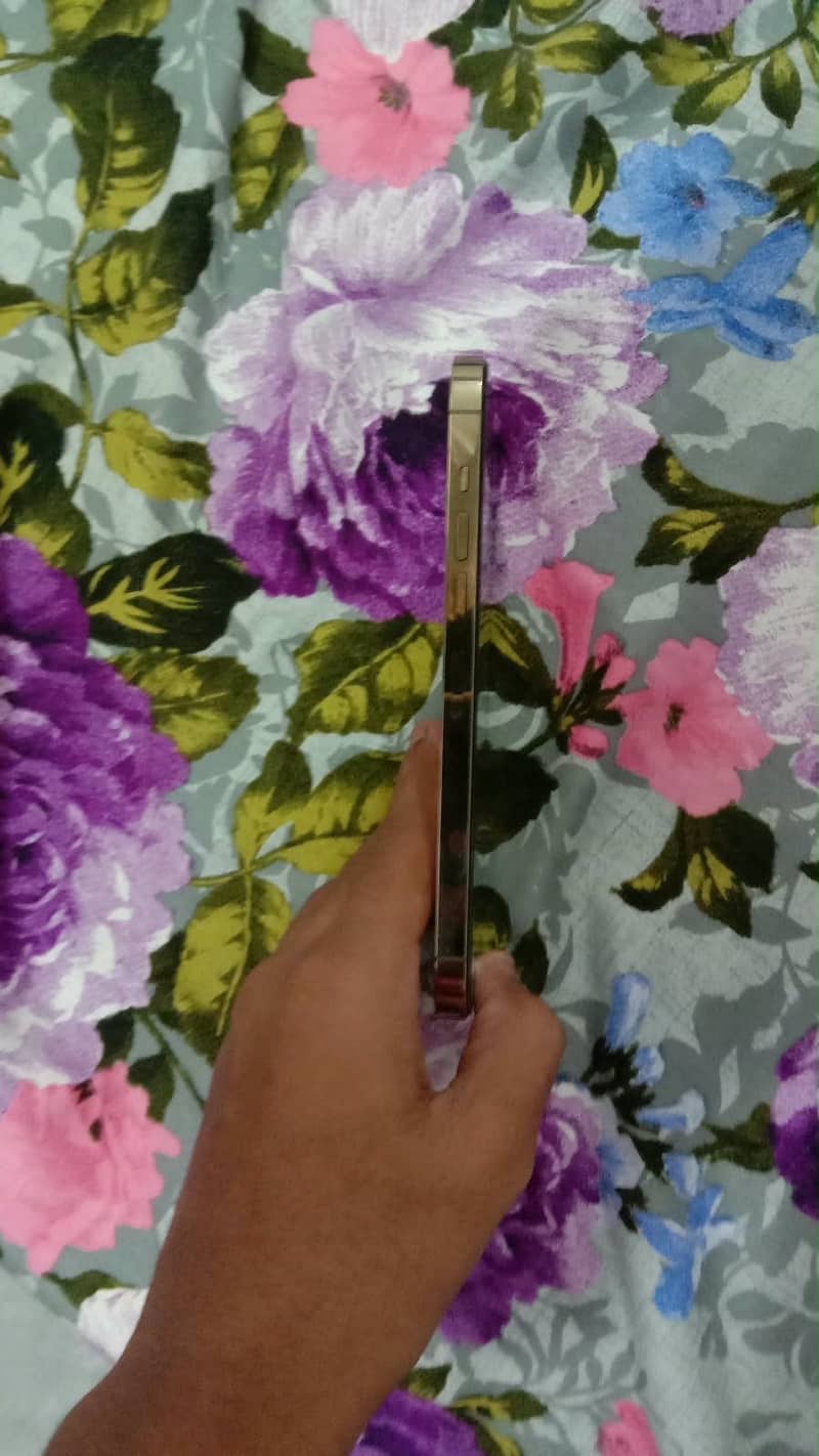 Apple iPhone 13 Pro Max 1