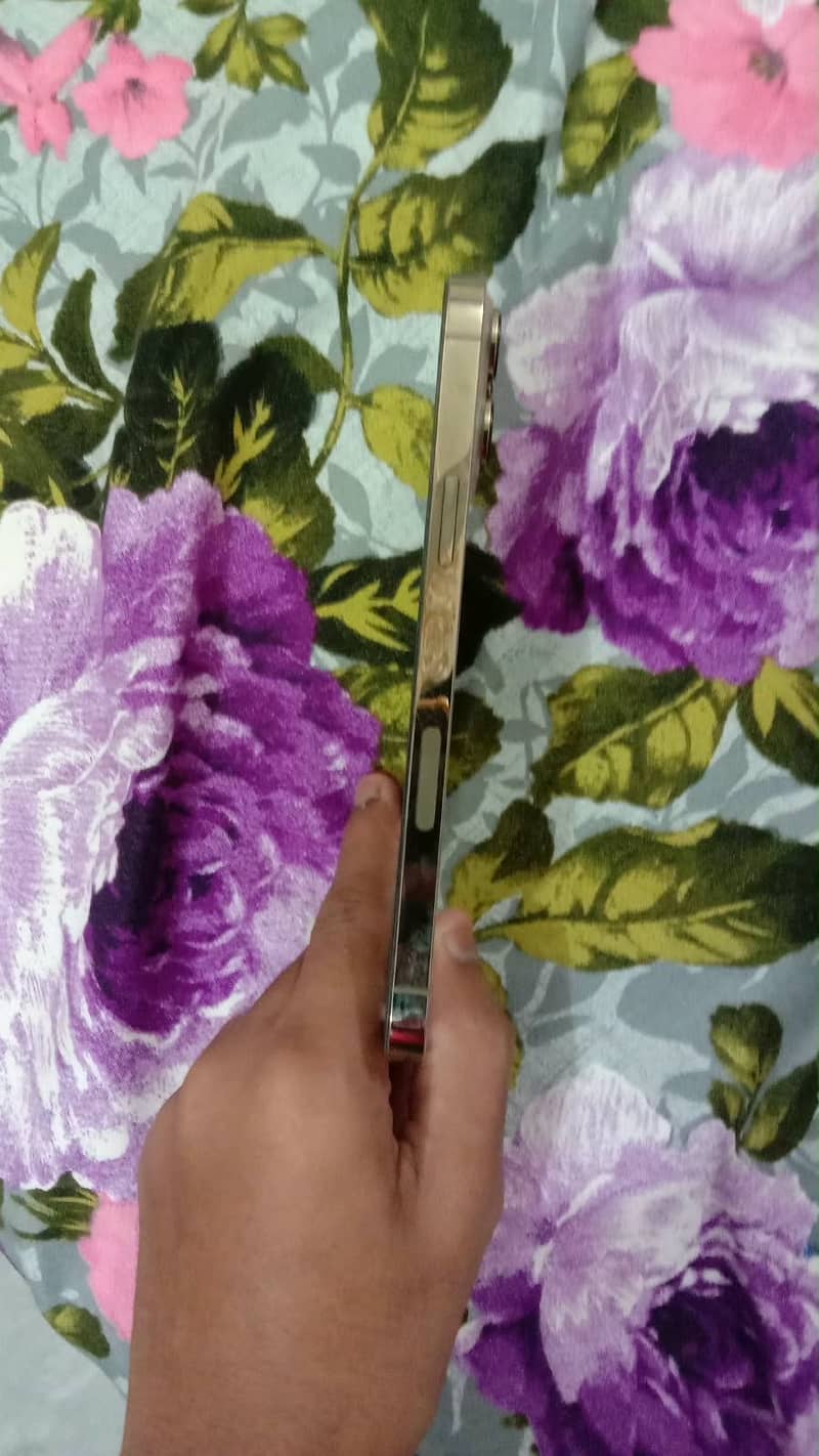 Apple iPhone 13 Pro Max 2