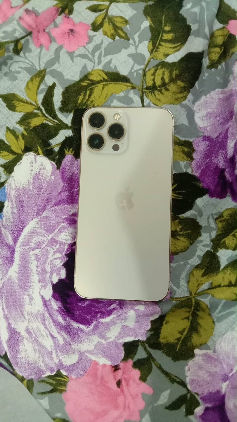 Apple iPhone 13 Pro Max 3