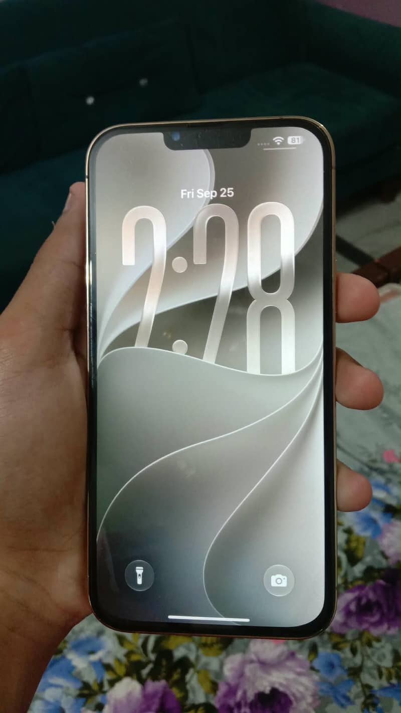 Apple iPhone 13 Pro Max 4