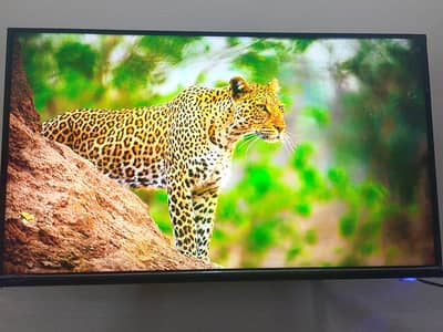 smart led 2025
