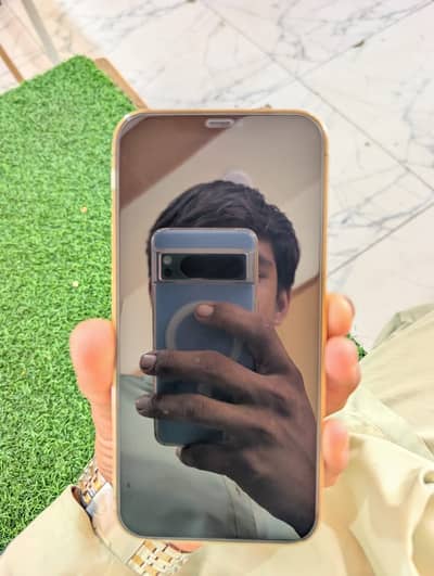 Apple iPhone 12 Pro Max