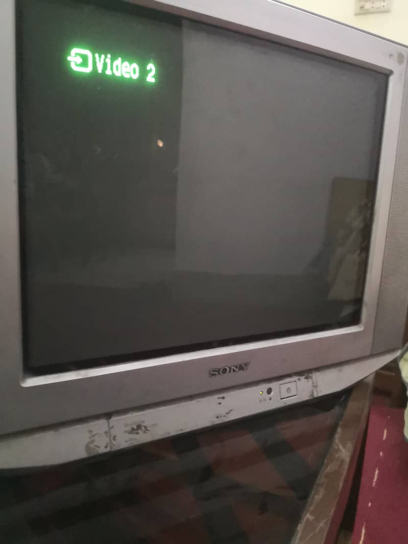 Television 1