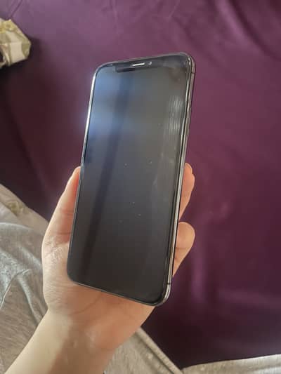 Apple iPhone X