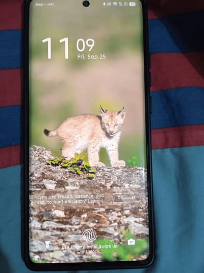 Infinix Hot 50 Pro Plus