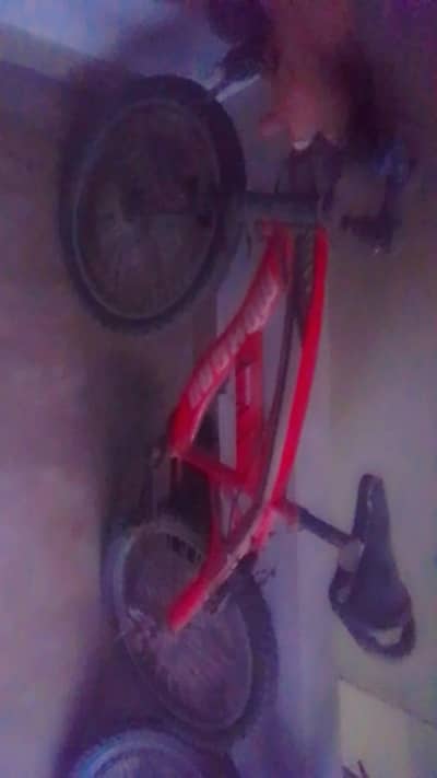 Bicycle for sale