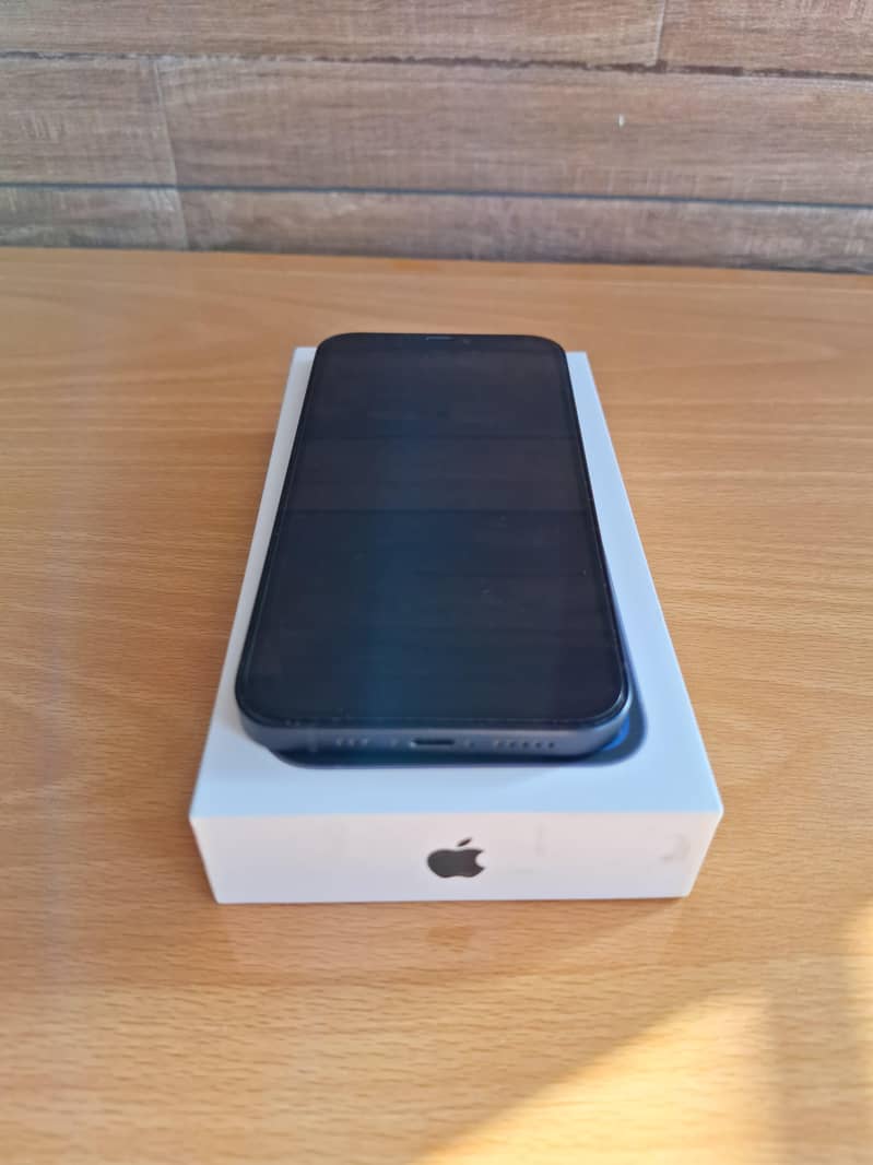 Apple iPhone 12 5