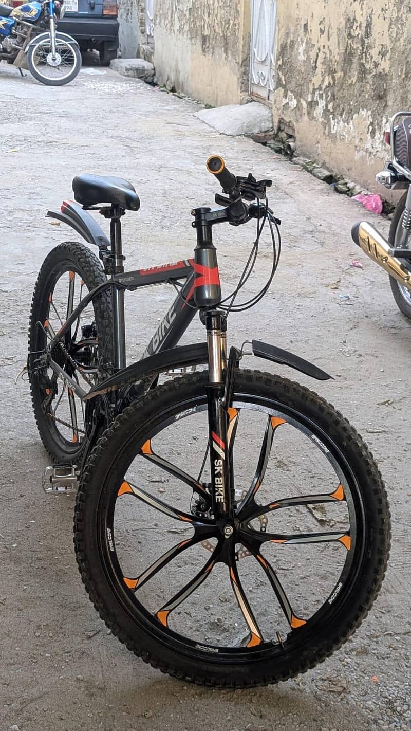 Mountain bicycle 2