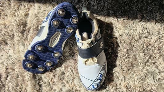 CA Spikes