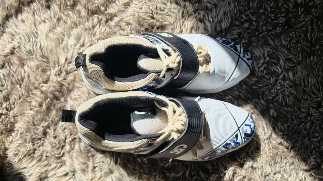 CA Spikes 3