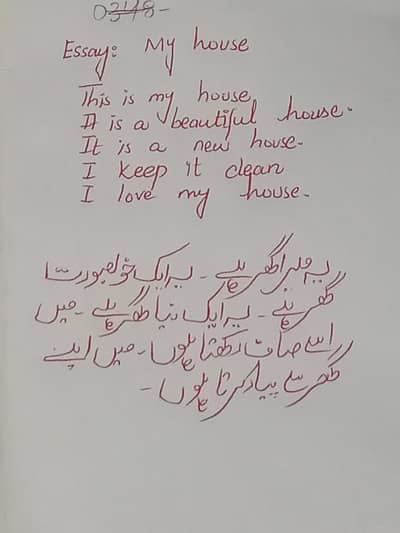 neat assignment writing service kamahna Lahore