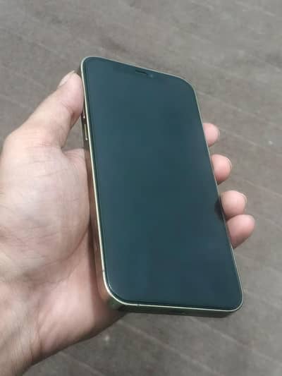 Apple iPhone 12 Pro
