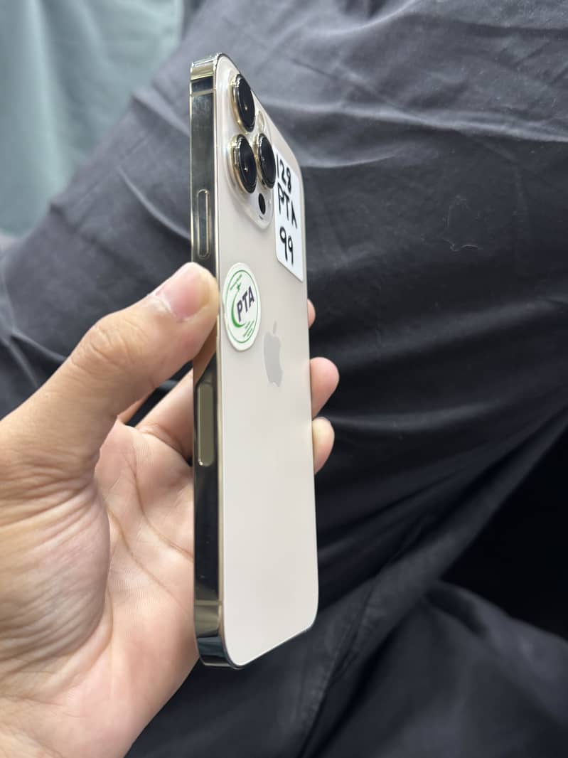 Apple iPhone 13 Pro Max 1